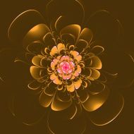 Beautiful beige flower on red background