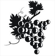 Black silhouette of grapes N4