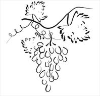 Black silhouette of grapes Vector illustration N4