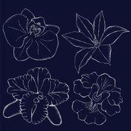 silver orchid contour flowers