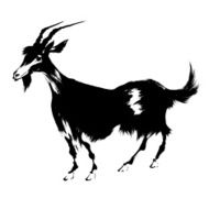 Japanese sheep N3