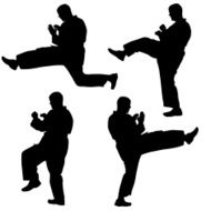 Set of black silhouettes karate Sport vector illustration