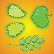 Set of leaves N5