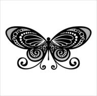 Vector Beautiful Butterfly Exotic Insect N2
