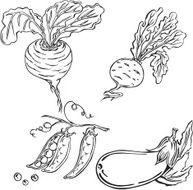 Vegetables N47