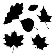 Different leaves silhouettes
