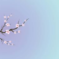 Flowers N361