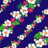 hibiscus repeats N7