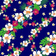 hibiscus repeats N8