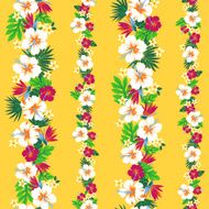 hibiscus repeats N9