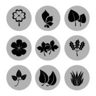 natural design N2