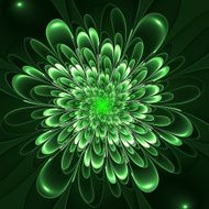 Beautiful lush flower on green background