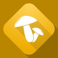 Vector icon of Mushrooms with a long shadow