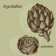 Artichoke N9