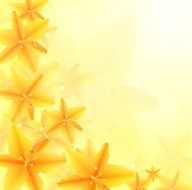 Flower N111