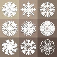 Snowflake N51