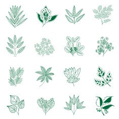 leaf N29
