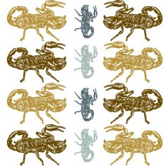 Seamless pattern of scorpion