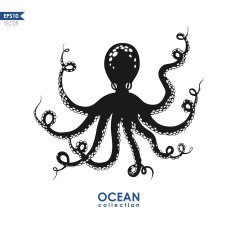 Octopus Drawing N4