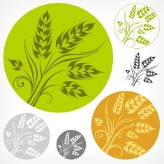 Wheat pattern in round N2