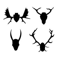 Set of contours horns antlers