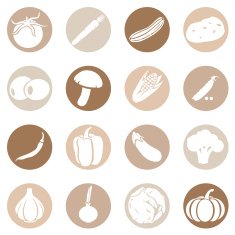 Vector Set of Vegetables Icons N13