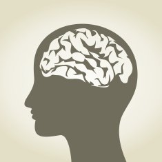 Brain N54