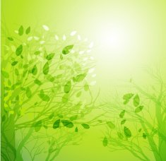Spring background N56