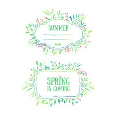 Beautiful card Spring and summer background Ornament from leaves berries N2