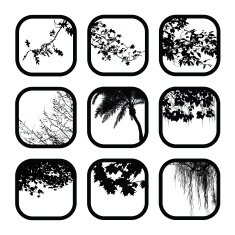Branching