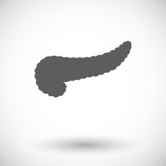 Pancreas icon N2