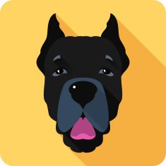 dog Cane Corso icon flat design