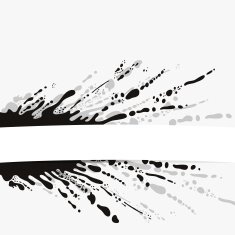 Vector blot