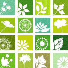 Natural icons N4
