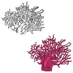 Vector icon set with coral N2