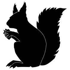 squirrel N12