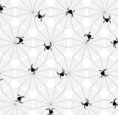 spiders and webs N2