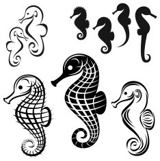 Sea Horse N10