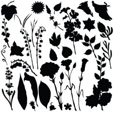 Vector silhouette of different flowers N8
