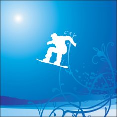 snowboard fun N2