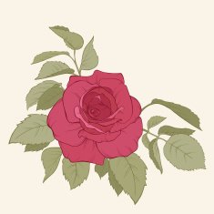 Rose Vector Illustration N2