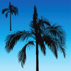 Detailed Palm Tree N4