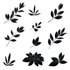 Leaves black silhouettes N3