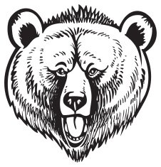 Grizzly Brown Bear Vector