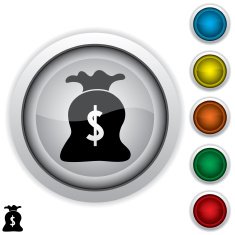 Money Bag Icon N9
