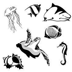 marine animals N8