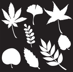 Vector silhouette of garden supplies N4