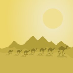 Desert N4