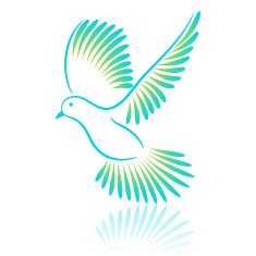 Pigeon Vector illustration
