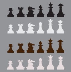 vector classic chess icons set